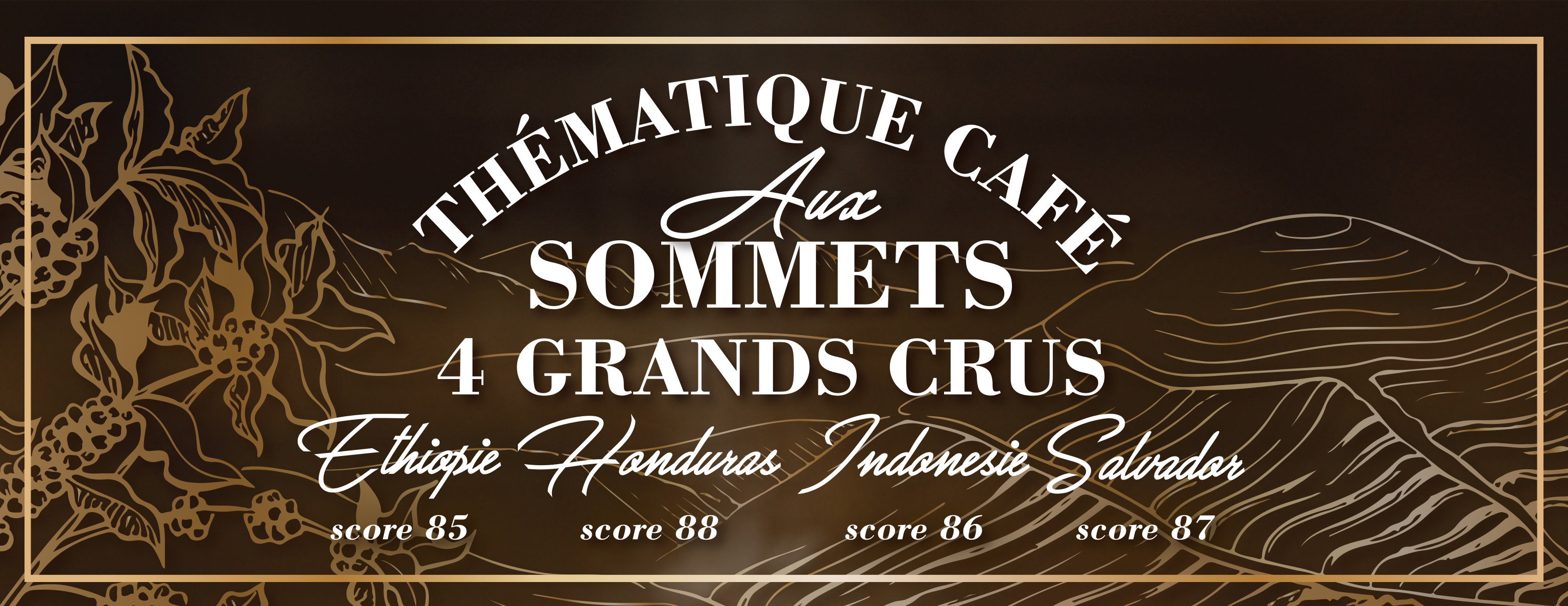 Thématique café